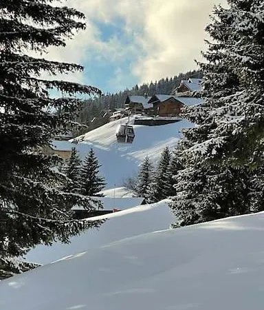 Apartment La Perle Des Alpes C10 Apart.4* #yolo Alp *